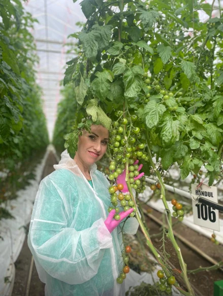 ERASMUS PERSONEL HAREKETLİLİĞİ